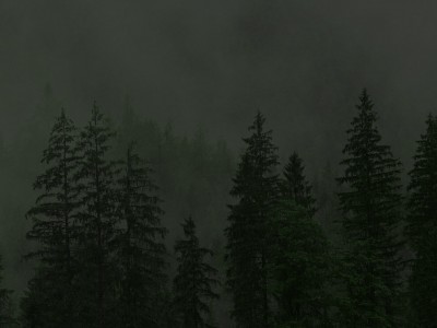 Zdjęcie z realizacji Poznań - os. Kwiatowe